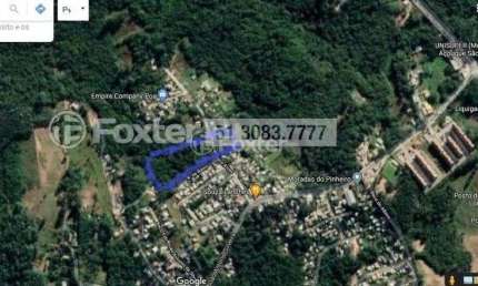 Terreno à venda na Rua Dona Francisca, 138, Lomba do Pinheiro, Porto Alegre, 7675 m2 por R$ 1.100.000