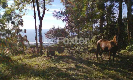 Terreno à venda na Estrada Paulo Lopes, 500, Centro, Paulo Lopes, 33000 m2 por R$ 1.800.000