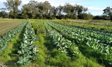 Fazenda à venda na Avenida do Lami, S/N, Belém Novo, Porto Alegre, 47228 m2 por R$ 3.600.000