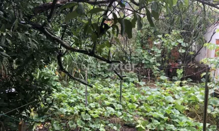 Terreno comercial à venda na Rua Doutor Mário Totta, 2210, Tristeza, Porto Alegre, 324 m2 por R$ 330.000