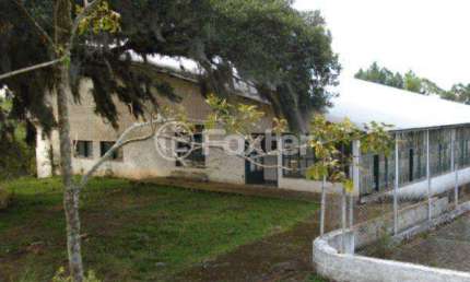 Terreno comercial à venda na Estrada Municipal Bercírio Manoel Cardoso, 545, Barro Vermelho, Gravataí, 145000 m2 por R$ 3.000.000