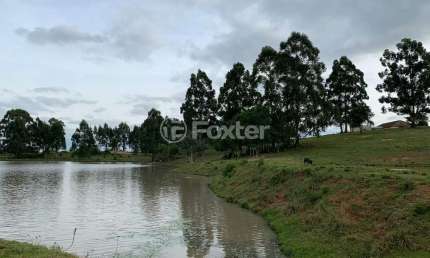 Fazenda à venda na Travessa Albino Gollo, 1463, Capela São Pedro, Camaquã, 70000 m2 por R$ 4.655.000