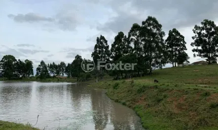 Fazenda à venda na travessa albino gollo, 1463, capela são pedro, camaquã, 70000 m2 por r$ 4.655.000