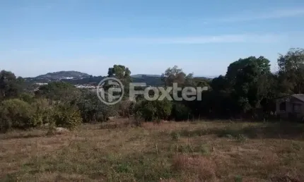 Terreno comercial à venda na Estrada das Três Meninas, 1134, Vila Nova, Porto Alegre, 5000 m2 por R$ 1.800.000