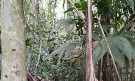 Terreno à venda na Parque Vila da Serra, 5, Vila da Serra, Osório, 375 m2 por R$ 90.000