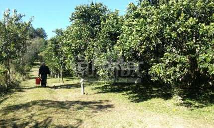 Terreno à venda na Estrada Afonso Lourenço Mariante, 2892, Belém Velho, Porto Alegre, 13935 m2 por R$ 448.200