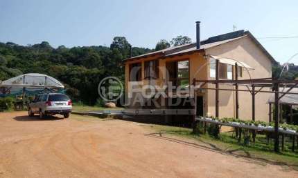 Fazenda com 1 sala à venda na Estrada João Passuelo, 1150, Vila Nova, Porto Alegre, 160 m2 por R$ 1.500.000