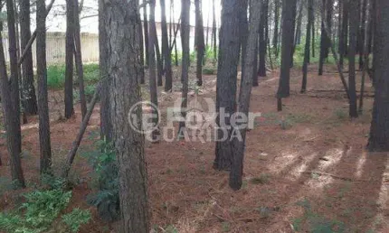 Terreno à venda na estrada josé zingano, 721, distrito industrial, cachoeirinha, 5330 m2 por r$ 1.187.595