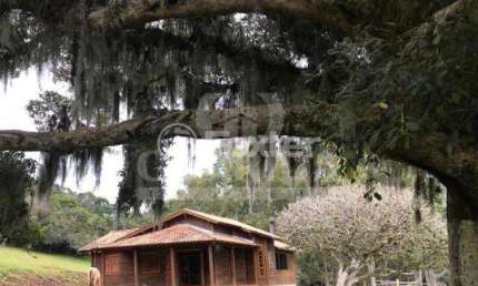 Fazenda com 1 sala à venda na Rodovia Frei Pacífico, S/N, Itapuã, Viamão, 45000 m2 por R$ 600.000