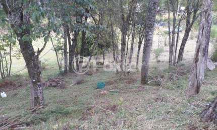 Fazenda à venda na Rua da Pedreira, 0000, Centro, Nova Petrópolis, 1177760 m2 por R$ 383.400