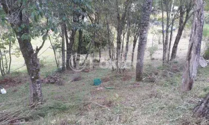 Fazenda à venda na Rua da Pedreira, 0000, Centro, Nova Petrópolis, 1177760 m2 por R$ 383.400