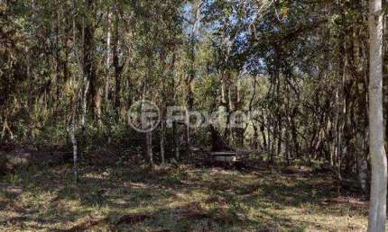 Terreno à venda na Rua 17A, S/N, Parque da Ferradura, Canela, 555 m2 por R$ 1.615.475
