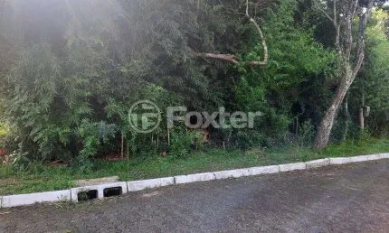 Terreno em condomínio fechado à venda na Rua das Figueiras, 206, São Lucas, Viamão, 420 m2 por R$ 140.000