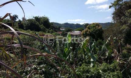 Terreno à venda na Rua Vo Olinda, 47, Bela Vista, Salvador do Sul, 730 m2 por R$ 800.100