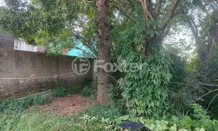 Terreno à venda na rua farroupilha, 165, esmeralda, viamão, 577 m2 por r$ 130.000