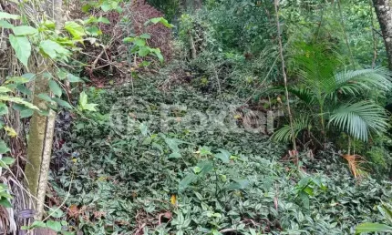 Terreno à venda na Beco José Alves de Castro, 64, Vila Nova, Porto Alegre, 479 m2 por R$ 460.000