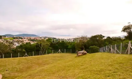 Terreno em condomínio fechado à venda na Estrada Cristiano Kraemer, 4434, Vila Nova, Porto Alegre, 300 m2 por R$ 228.000