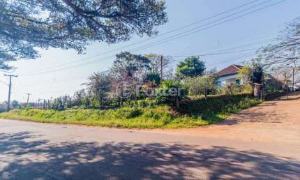 Fazenda à venda na Beco do Cocão, 6000, Cocão, Viamão, 43400 m2 por R$ 2.375.000