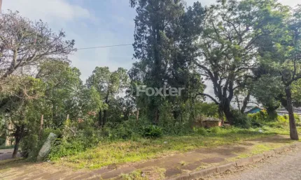 Terreno à venda na Rua Monte Alegre, 24, Jardim Floresta, Porto Alegre, 476 m2 por R$ 370.500