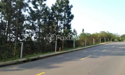 Terreno à venda na estrada das furnas, 788, vila nova, porto alegre, 31066 m2 por r$ 3.521.000