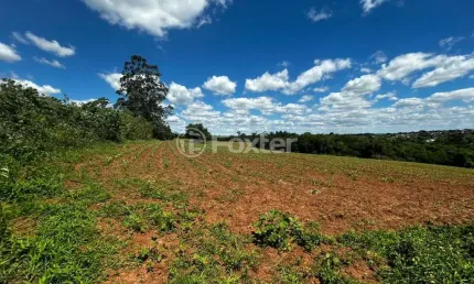 Terreno comercial à venda na Rua Lino Estácio dos Santos, S/N, Cadiz, Gravataí, 382400 m2 por R$ 11.000.000