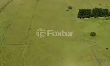 Terreno comercial à venda na avenida quatro de maio, s/n, três figueiras, glorinha, 150000 m2 por r$ 3.000.000