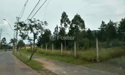 Terreno comercial à venda na Avenida Juca Batista, 2797, Cavalhada, Porto Alegre, 1437 m2 por R$ 1.580.000
