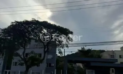 Apartamento com 3 quartos à venda na Rua Desembargador Pedro Silva, 2202, Coqueiros, Florianópolis, 56 m2 por R$ 450.000
