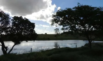 Fazenda com 1 sala à venda na rodovia rs-040, km 40, águas claras, viamão, 9829 m2 por r$ 1.800.000