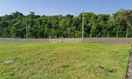Terreno à venda na rua anita luzia braun, 10, loteamento jardim timbaúva, gravataí, 163 m2 por r$ 185.600