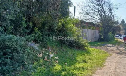 Terreno comercial à venda na rua joão maria da fonseca, 911, passo das pedras, gravataí, 3131 m2 por r$ 2.500.000