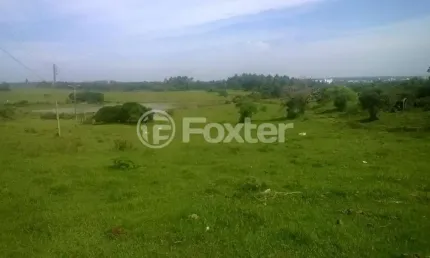 Terreno comercial à venda na Estrada Pará Morungava, 2900, Cadiz, Gravataí, 420000 m2 por R$ 15.000.000