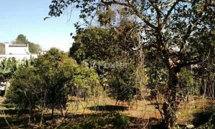 Terreno à venda na Rua Leopoldo Feldens, 50, Hidráulica, Lajeado, 377 m2 por R$ 385.000