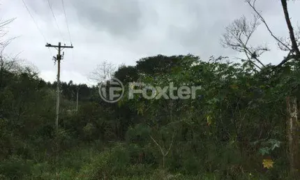 Terreno à venda na Estrada do Rincão, 2820, Belém Velho, Porto Alegre, 32500 m2 por R$ 617.500