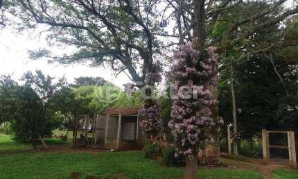 Fazenda com 5 salas à venda na Jardim Do Cedro, 195, Santa Tecla (Ipiranga), Gravataí, 93000 m2 por R$ 1.950.000