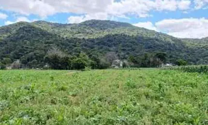 Terreno com 11.089m² plano e bem localizado no Sul do Rio, Santo Amaro da Imperatriz/SC