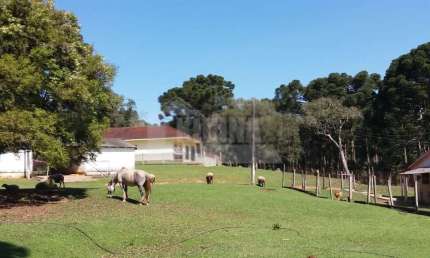 Fazenda à venda, 3600.00 m2 por R$9000000.00  -  - Castro/PR