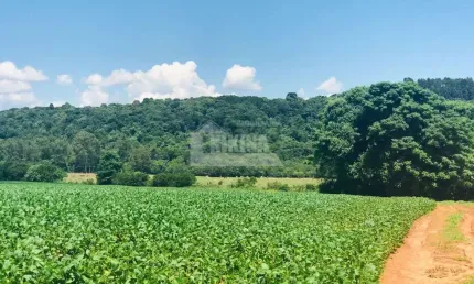 Chácara à venda, 112085.00 m2 por r$3500000.00  - colonia dona luiza - ponta grossa/pr