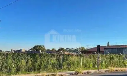 Terreno à venda, 980.00 m2 por R$1000000.00  - Oficinas - Ponta Grossa/PR