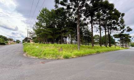 Terreno à venda, 10962.00 m2 por R$8770000.00  - Jardim Carvalho - Ponta Grossa/PR