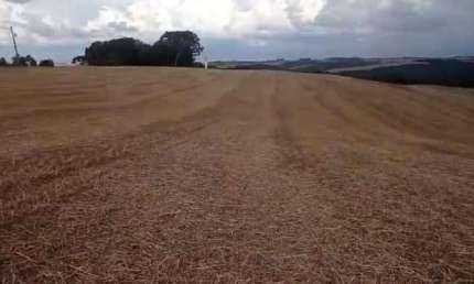Fazenda à venda, 0.00 m2 por R$4800000.00  - Zona Rural - Tibagi/PR