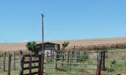 Fazenda à venda, 0.00 m2 por R$5000000.00  -  - Jandaia Do Sul/PR