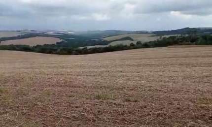 Fazenda à venda, 0.00 m2 por R$2800000.00  - Alto Do Amparo - Tibagi/PR