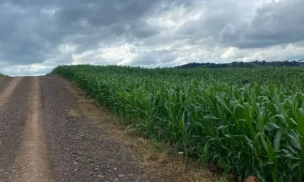 Chácara à venda, 0.00 m2 por r$3000000.00  - rural - kalore/pr