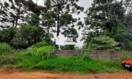 Terreno à venda, 1156.00 m2 por R$600000.00  - Uvaranas - Ponta Grossa/PR