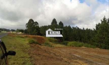 Terreno à venda, 313688.00 m2 por R$6500000.00  - Colonia Dona Luiza - Ponta Grossa/PR