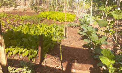 Terreno à venda no Residencial Porto Seguro, Salto 