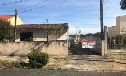 Amplo terreno com 360 m², em aclive, ideal para futuros projetos ou ampliações