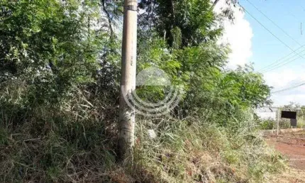 Terreno à venda, 5570 m² por R$ 2.785.000,00 - Jardim Ypê - Paulínia/SP