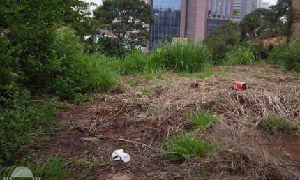 Terreno Comercial de Esquina à Venda no bairro Nova Campinas em Campinas